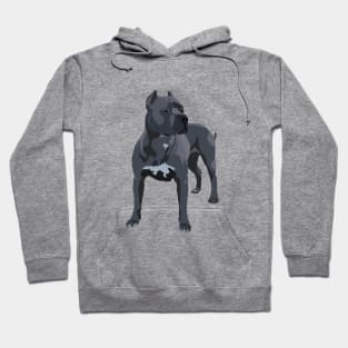 Pit Bull Dog Hoodie